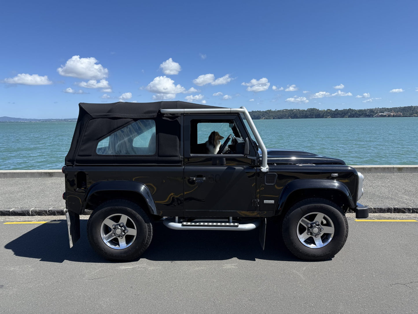 2008 Land Rover Defender