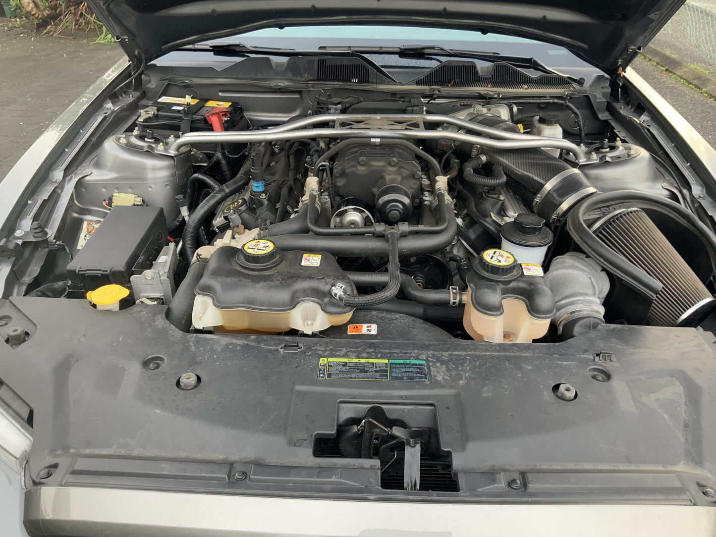 2010 Ford Mustang Shelby Gt500