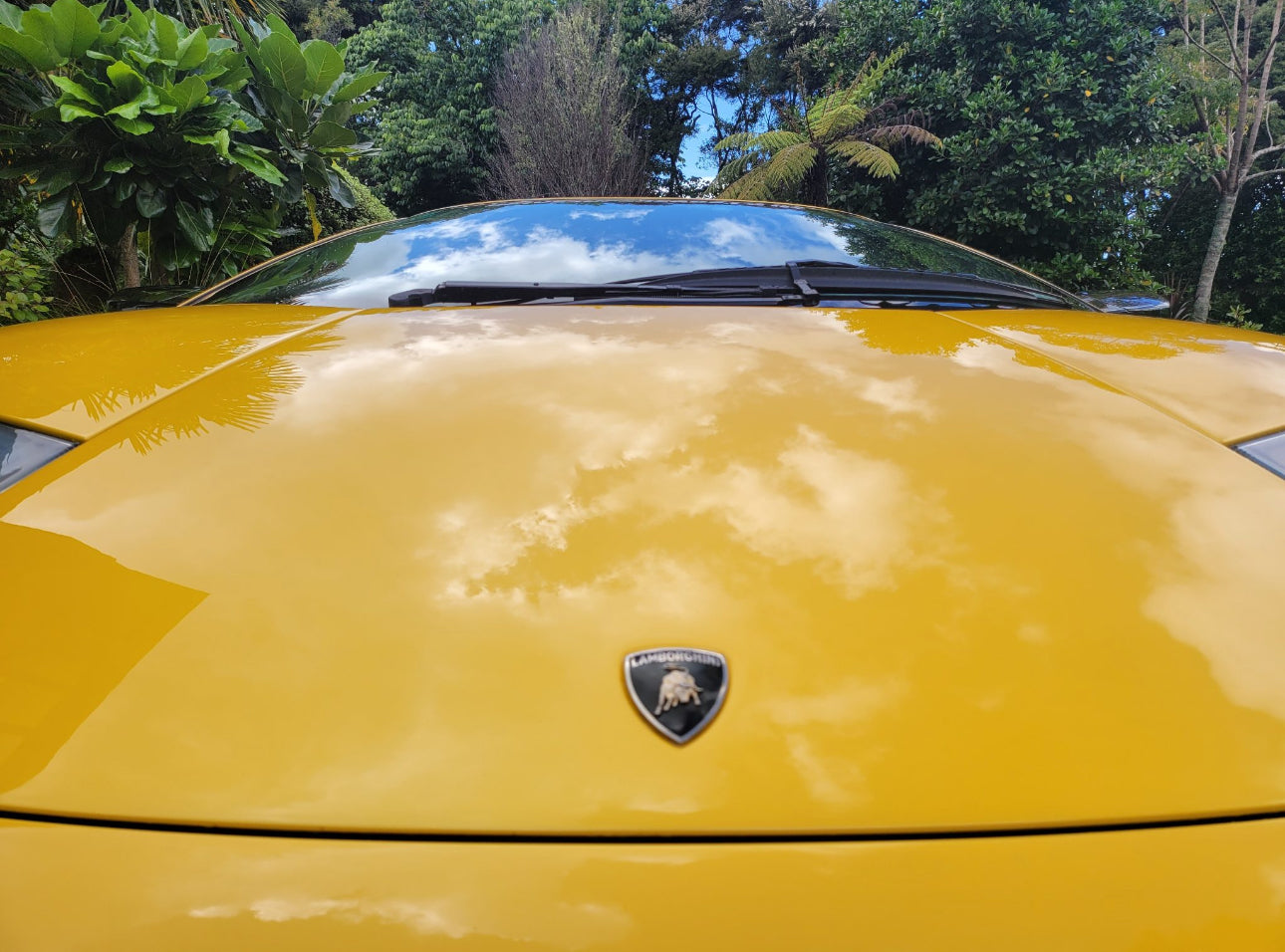 2002 Lamborghini Murcielago