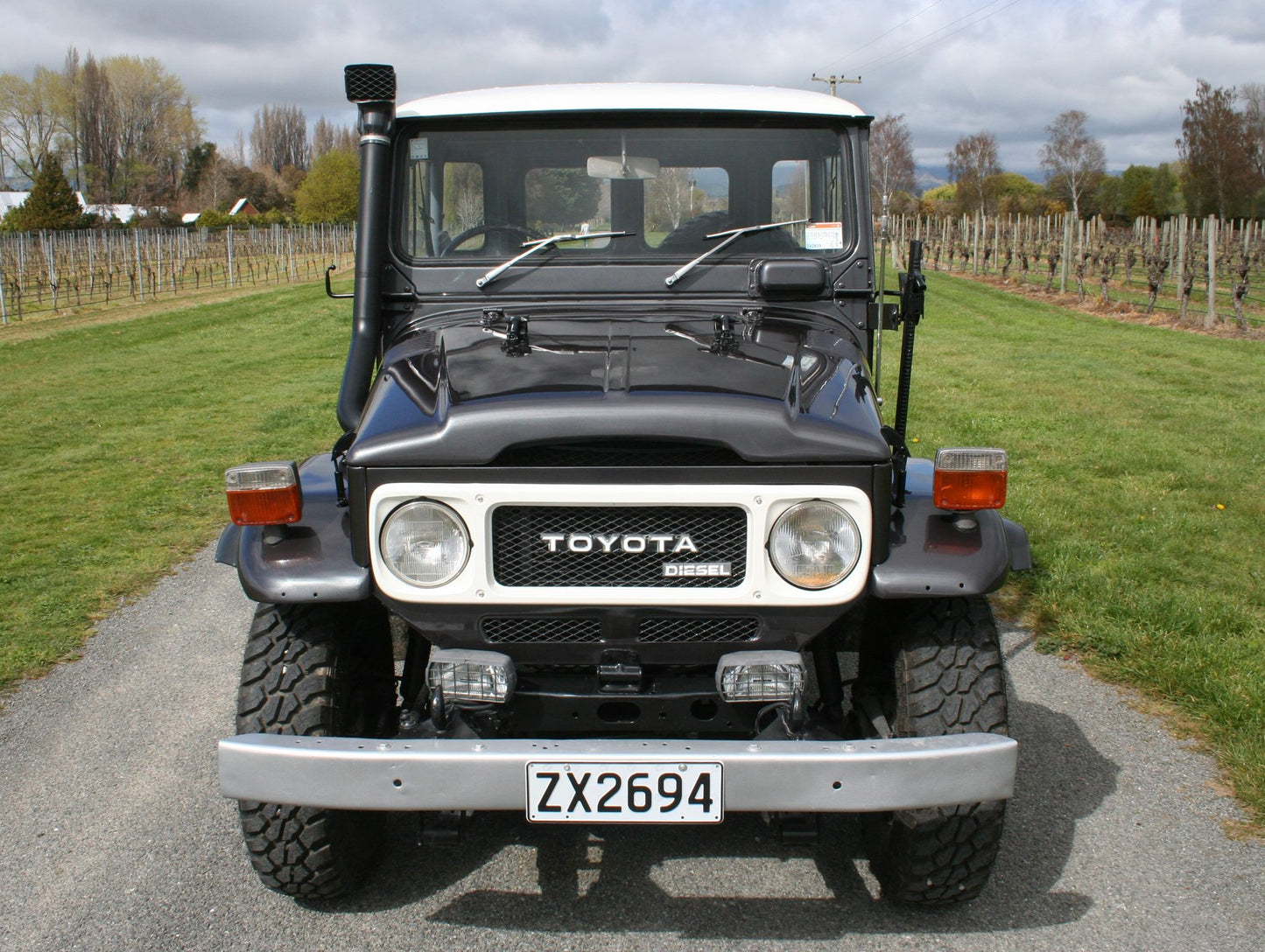 1979 Toyota Land Cruiser