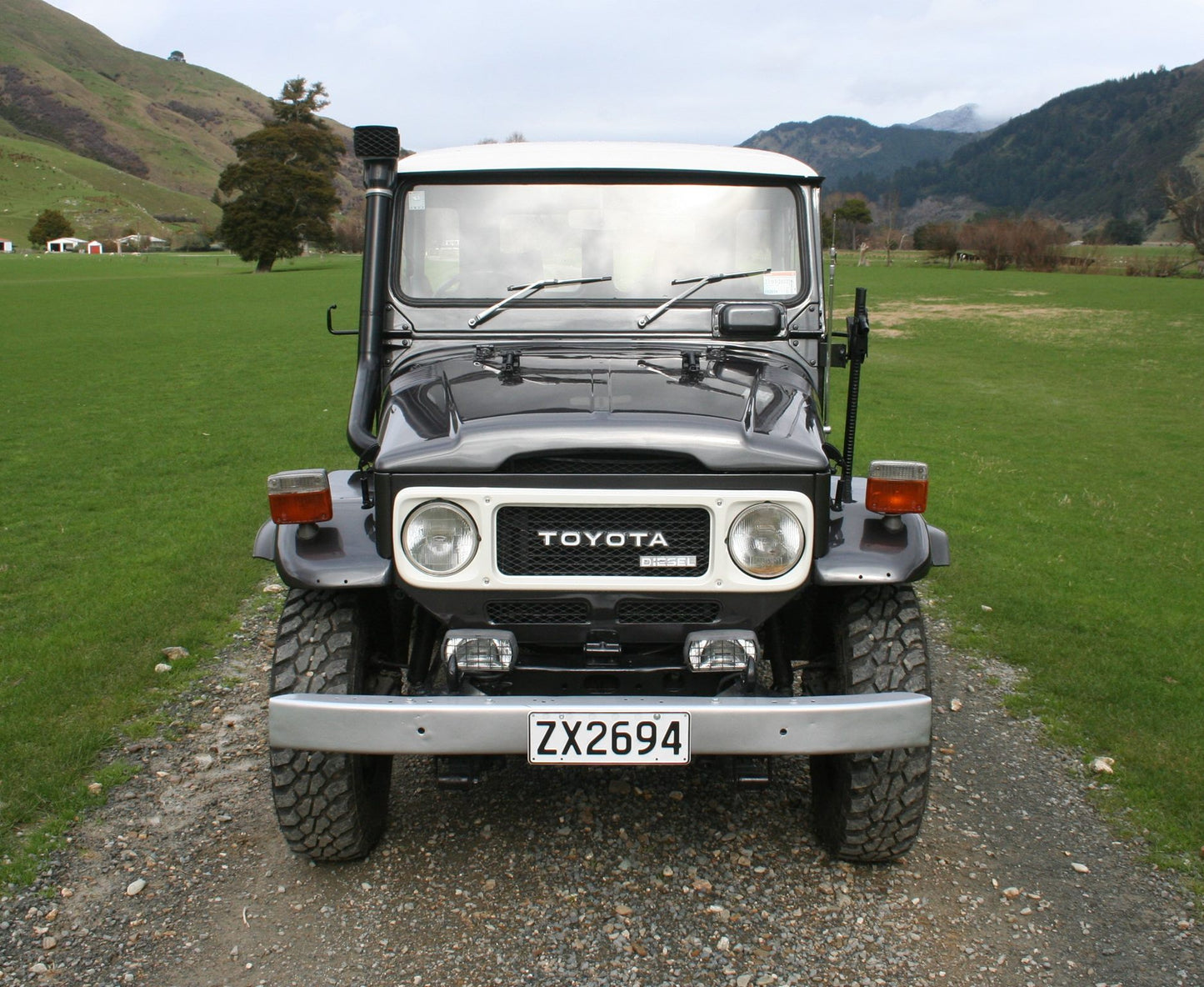 1979 Toyota Land Cruiser
