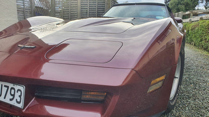 1981 Chevrolet Corvette