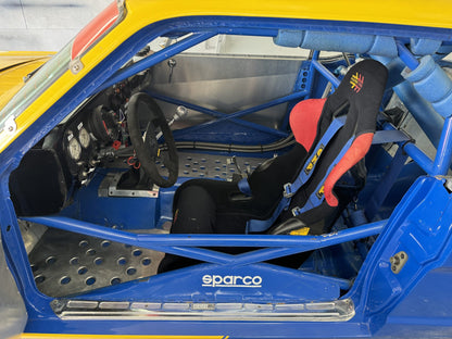 Ford Mustang **Multi-Championship Winning Car**