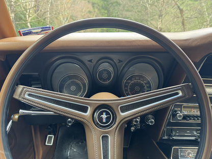 1971 Ford Mustang