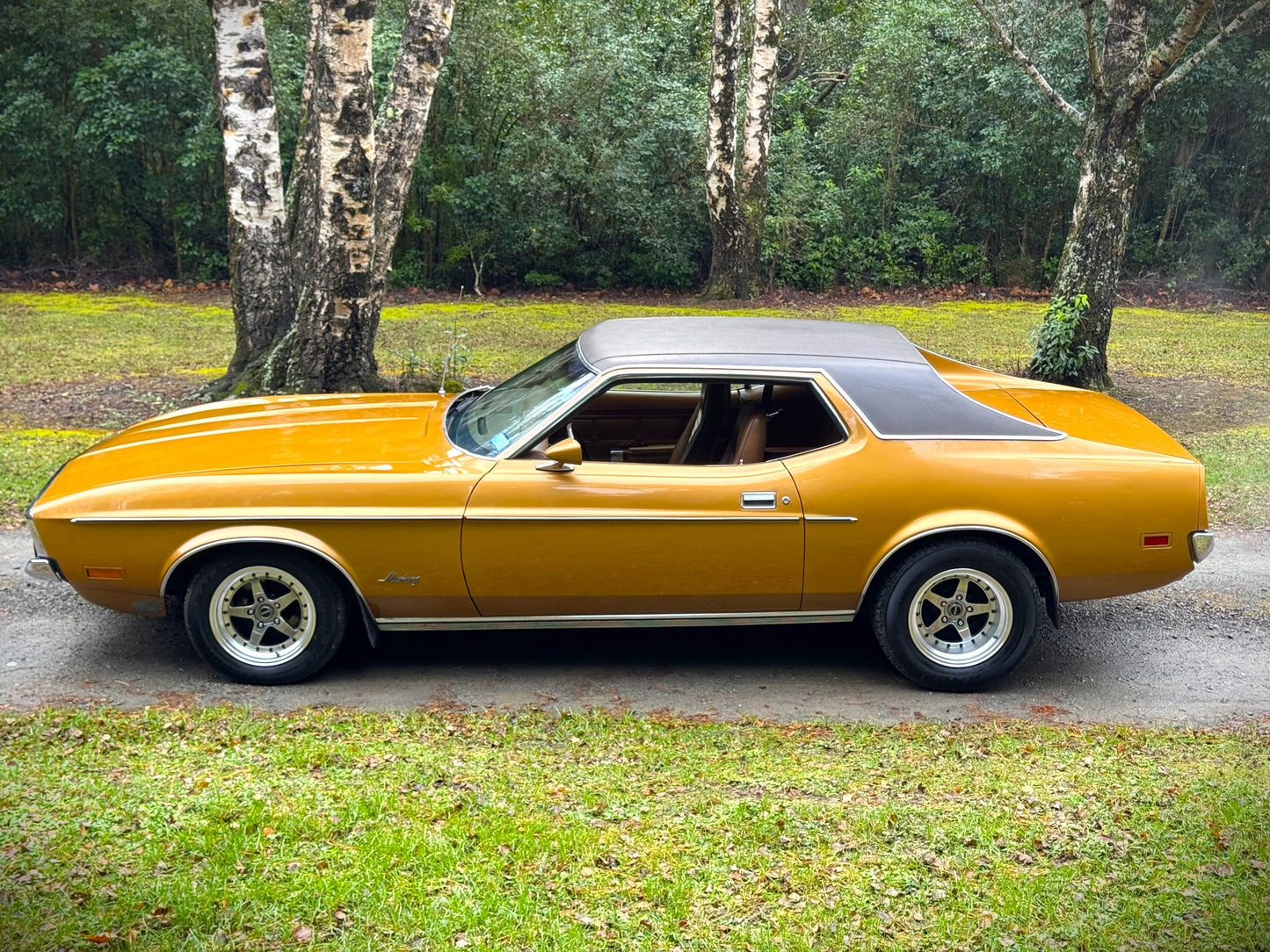 1971 Ford Mustang