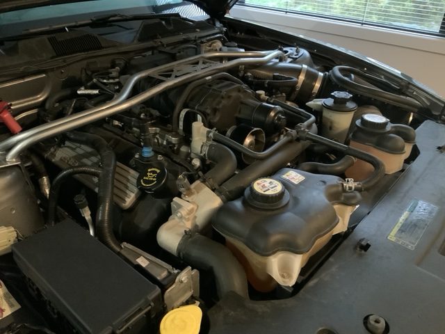 2010 Ford Mustang Shelby Gt500