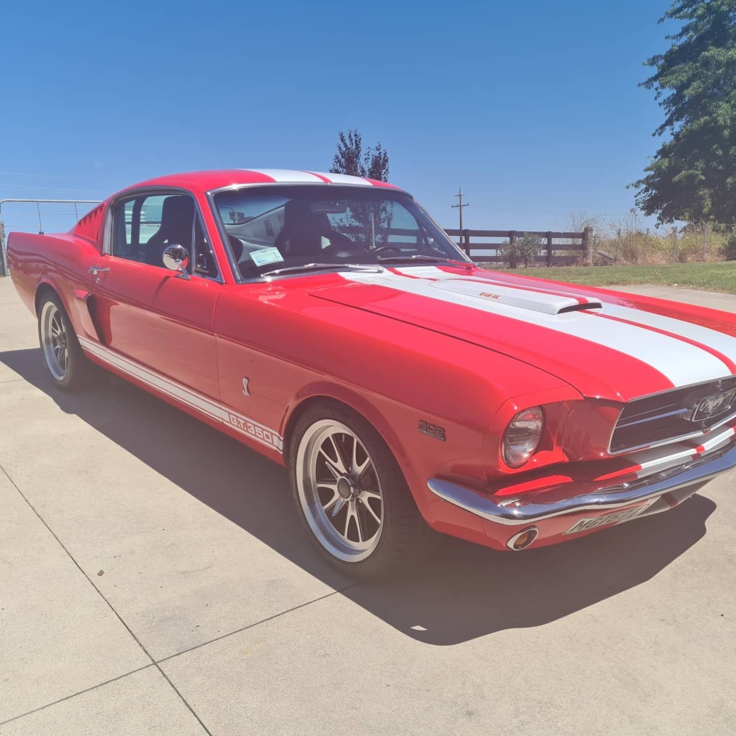 1965 Ford Mustang Gt 350