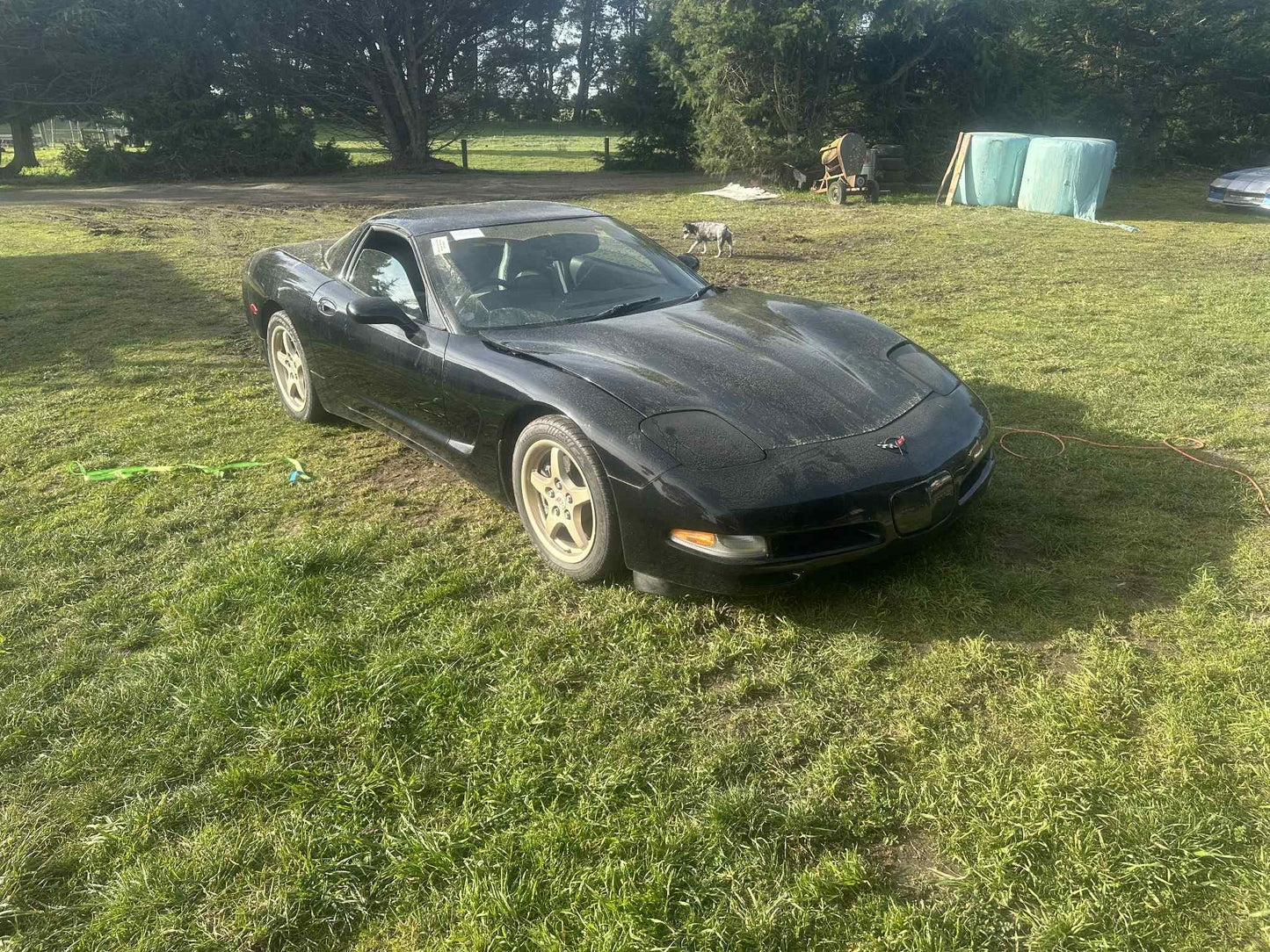1999 Chevrolet Corvette