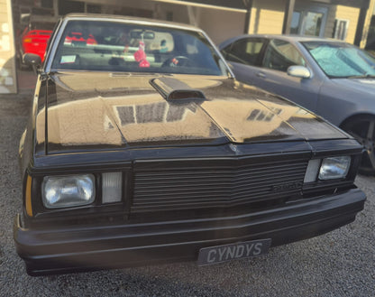 1980 Chevrolet El Camino